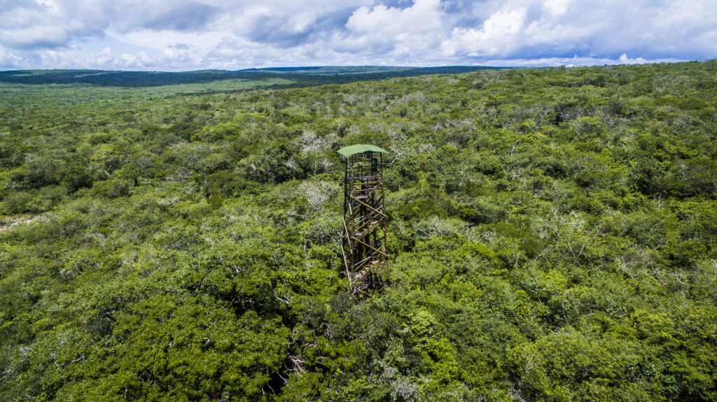 Associação Caatinga lança visitas virtuais da Reserva Natural Serra das