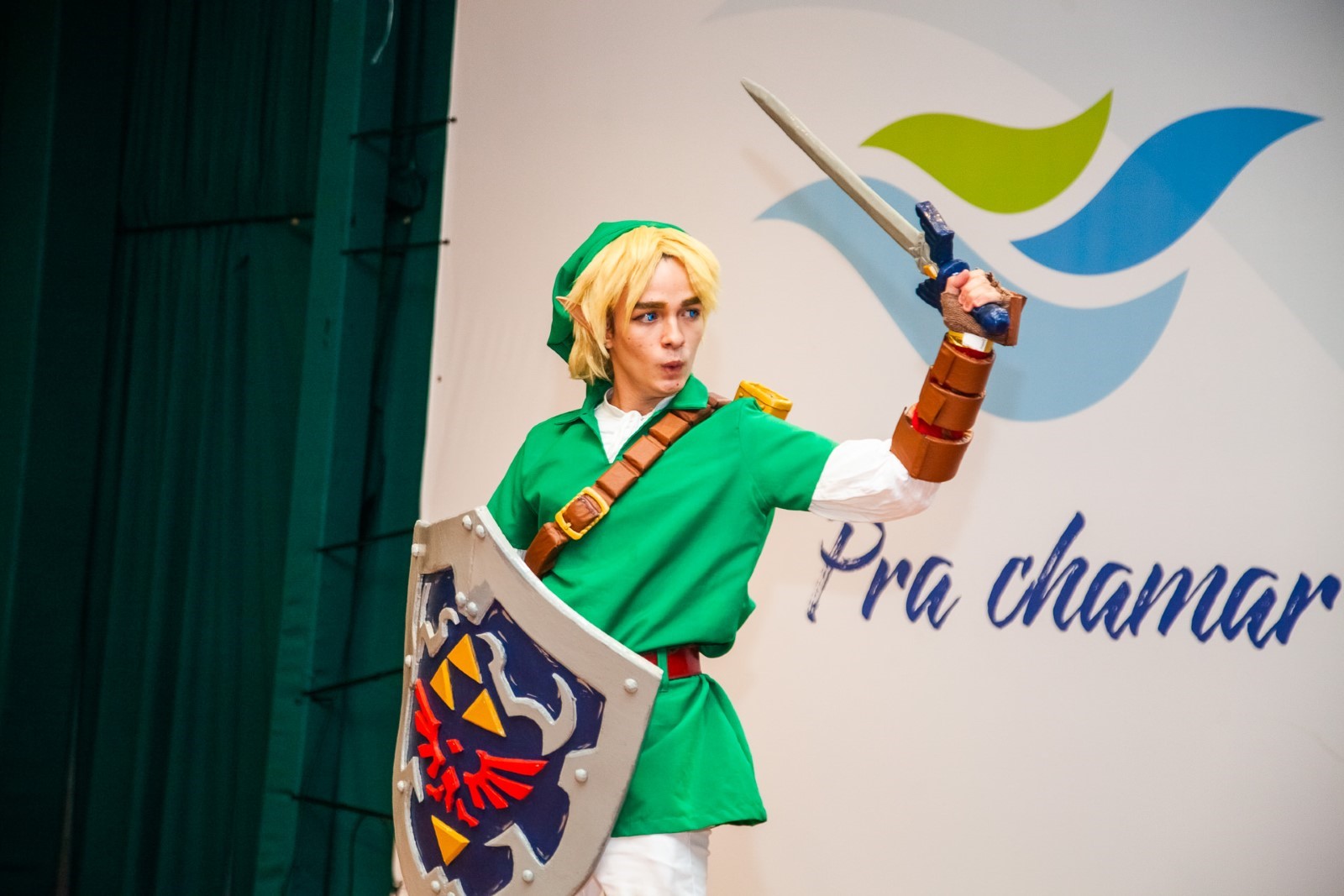 Fantasia Link (zelda) Infanto-juvenil